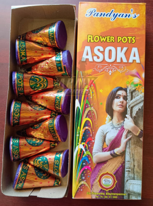 Flower pot Asoka